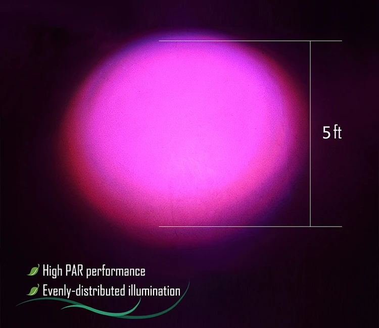 Dank 600 footprint grow lamp