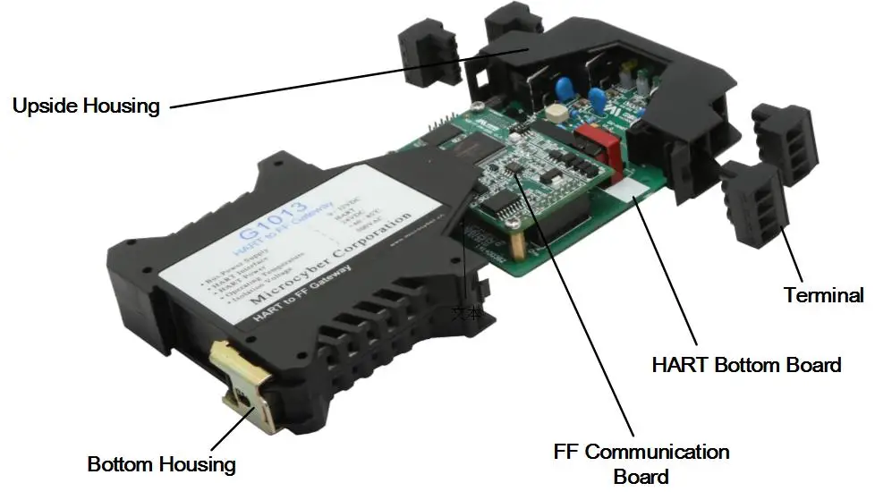 G10132.jpg