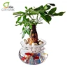 Factory Price Flower Shape Clear Glass Fish Bowl Vase
