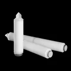 China ANOW Hot Sale Wine and Water Filter Cartridge 0.22 Micron Filter