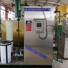 mini gas&oil 50kg steam generator for food process