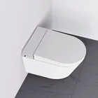China factory pp bathroom set sanitaryware wall hung intelligent toilet