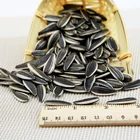 high quality Chinese white stripe sunflower seeds 601