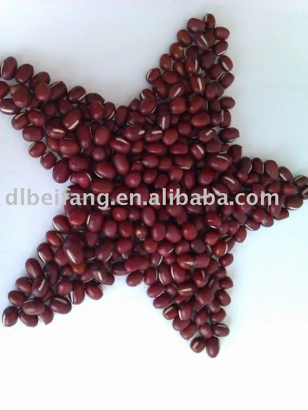 fresh adzuki beans