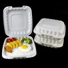 eco friendly packaging biodegradable disposable clamshell plastic fast food container box