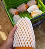 /product-detail/colorful-fruit-papaya-foam-net-60506781375.html