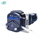 Water Pump Small Water Pump Peristaltic Pump from China