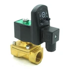 12V 24V DC Brass NC Low pressure solenoid valve timer