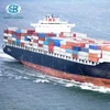 Importing Exporting Agency Cargo Shipping Logistics Service from China to Toronto