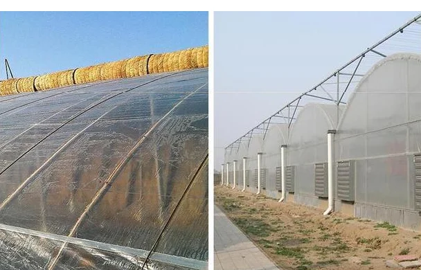 2020 high quality cheap plastic cover multi-span agricultural greenhouse plastic film