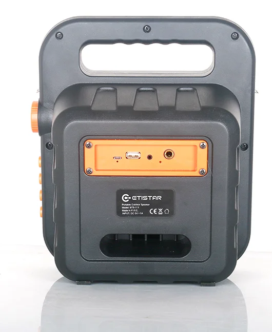 Perfect sound 6.5inch portable outdoor speaker with fm radio - ANKUX.COM