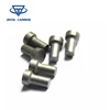 /product-detail/excellent-antiskid-tungsten-carbide-snow-tire-stud-9-11-60784815028.html