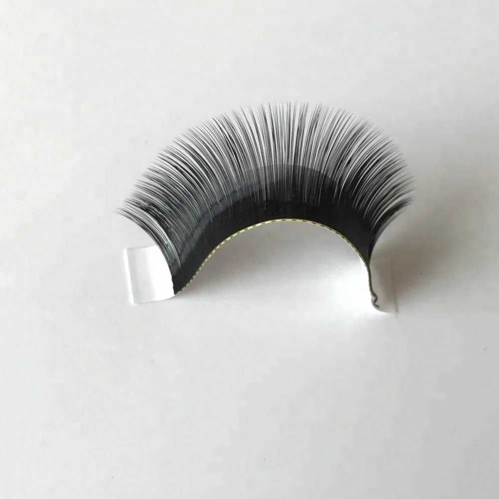 

2019 New 0.07mm Volume Lashes 0.03 Individual Eyelash extensions 0.05 Premade Fanned Lahes C D curl 7-17mm, Natural black