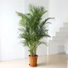 /product-detail/high-quality-home-decoration-size-palm-tree-artificial-plants-60818849163.html