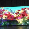 P5 china video led dot matrix indoor display