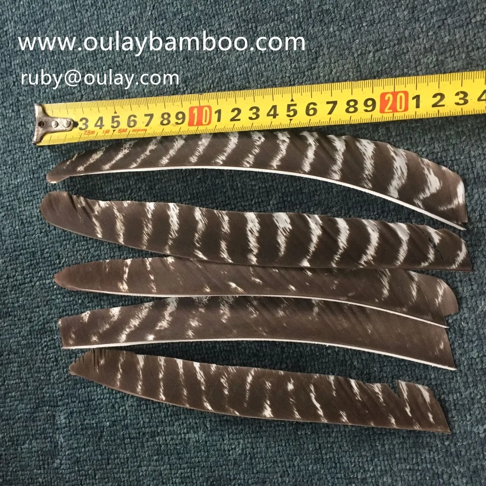 turkey feathers for sale