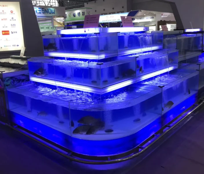 Dingfeng kundenspezifische chiller supermarkt oder restaurant 3 schichten mit licht großen kommerziellen aquarium marine aquarium