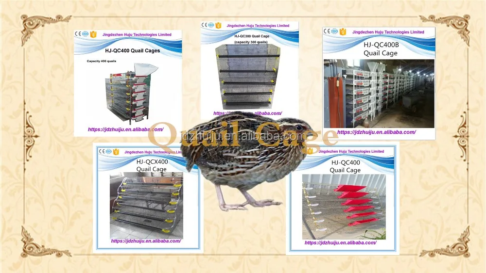 QUAIL CAGE ALL.jpg