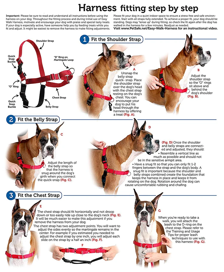 Easy Walk Harness.jpg