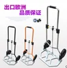 /product-detail/household-hand-pull-folding-portable-luggage-truck-trailer-incoming-pull-rod-car-small-buy-food-shopping-cart-60853612070.html