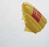Weifang hot sale inflatable soft power kite