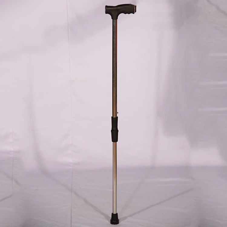 walking stick 1.jpg