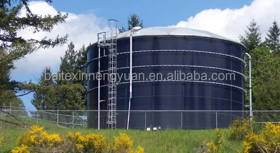 biogas digester with double membrane gas holder
