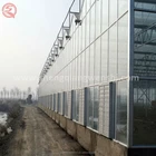 China large used commercial glass agricultural greenhouses