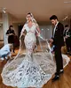 2019 Latest Modern Mermaid Lace Wedding Dress Bridal Gown See Through Cathedral Long Fishtail Sexy Wedding Gowns
