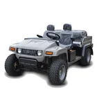 Powerful 4 Seater Electric Lifted Car Utility Vehicle