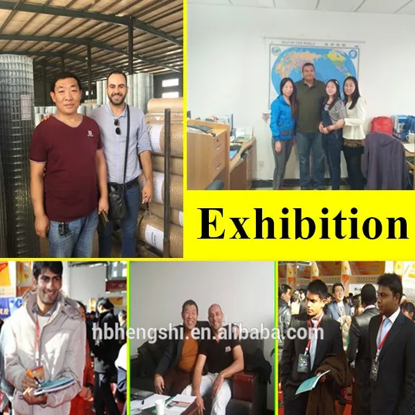 The Exhibition 001.jpg