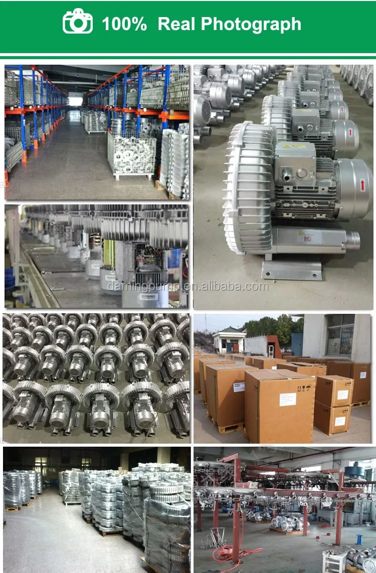 Ring Blower, DAMING, HG-5500 - detail 16