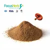 /product-detail/focusherb-reishi-mushroom-extract-ganoderma-extract-381936807.html