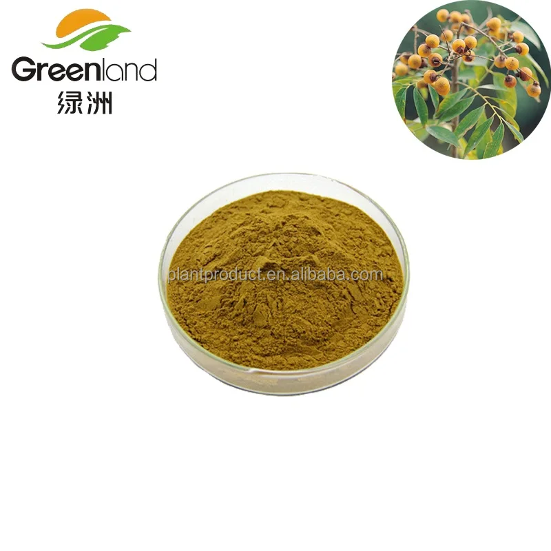 Pharmaceutical Grade Soap Nut Extract Saponins Extract with sapindoside