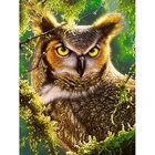 Owl Diamond Painting Full Square Embroidery Animals Pictures With Rhinestones Kit Home Decoration