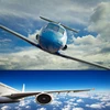 Professional safe stable door to door air sea delivery to tel aviv