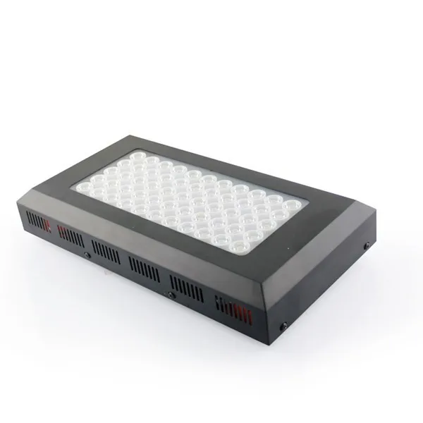 Aquarium Light - 5.jpg
