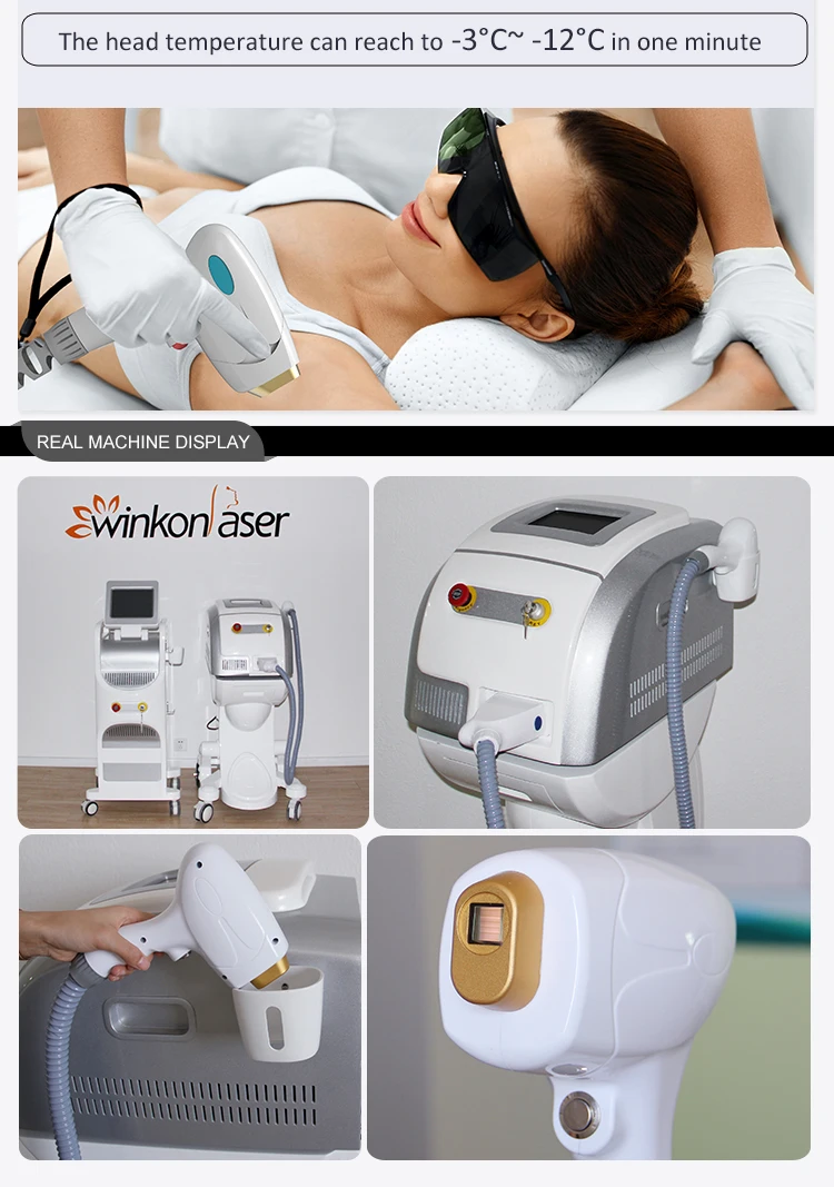 DL800(4)_03.jpg
