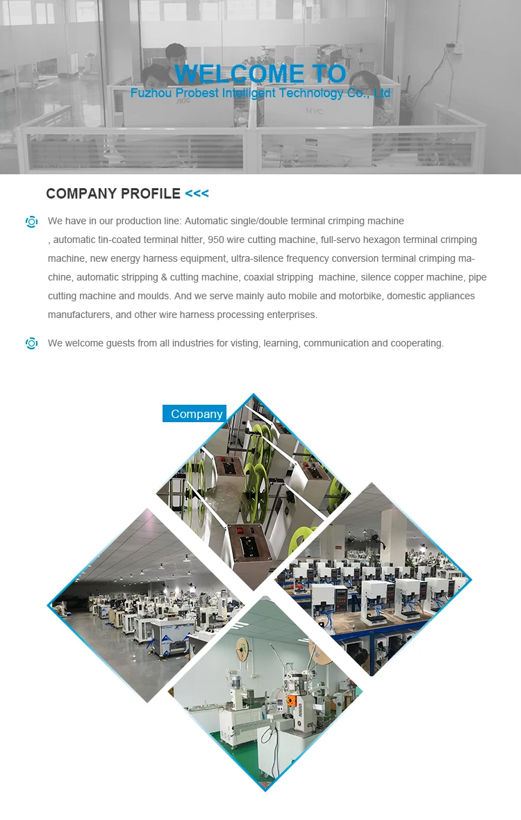 2.Company profile