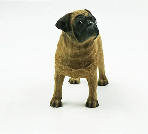 pug dog figure 1