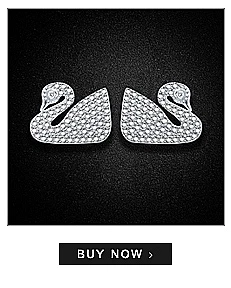 --925-Silver-Earrings_01_05