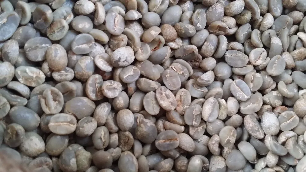 Chinese Yunnan Green Coffee Beans,Screen 17 Up,Grade Aa,Arabica Type