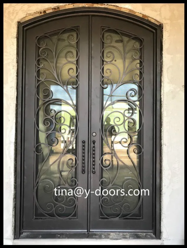 Lion Iron Door Design_.jpg