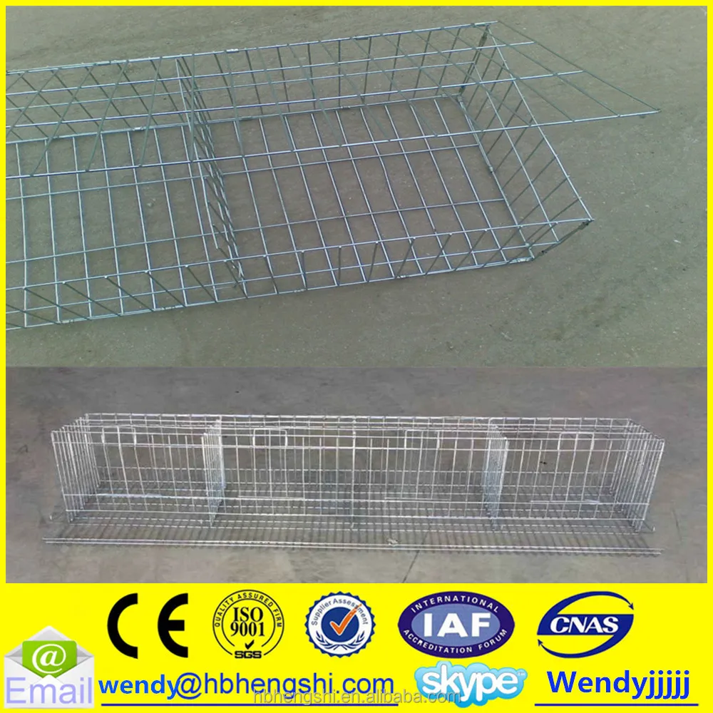 Welded Wire Mesh Cage/pigeon Breeding Cage Buy Welded Wire Mesh Cage