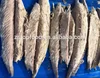 Seafood High Quality Frozen Precooked Skipjack Tuna Loin And Yellow Fin