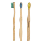 Provided Free Sample 100% Biodegradable Eco Bamboo Toothbrush