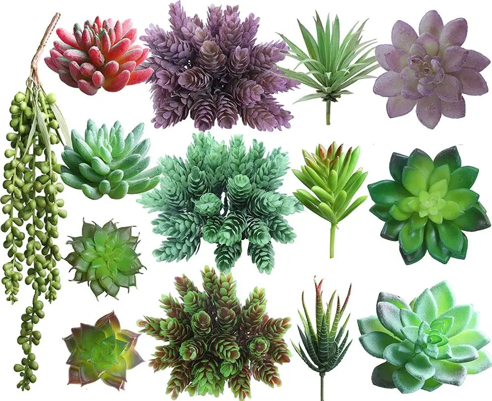 

14 Pcs Faux Succulent Assorted Plants Unpotted Faux Plants for Decoration Artificial Succulents Picks, Customized