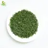 Chinese Famous green te High Mountain Green Tea Gaoshan Yunwu Green Tea