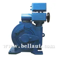 Angular Travel Electric Valve Actuator With