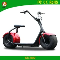 Green Power Lithium Battery Fat Tire
